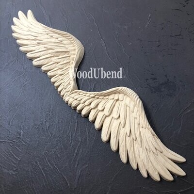 ANGELS WINGS -0960