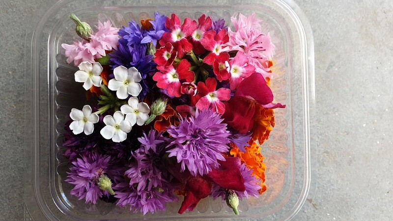 FIORI EDULI MIX