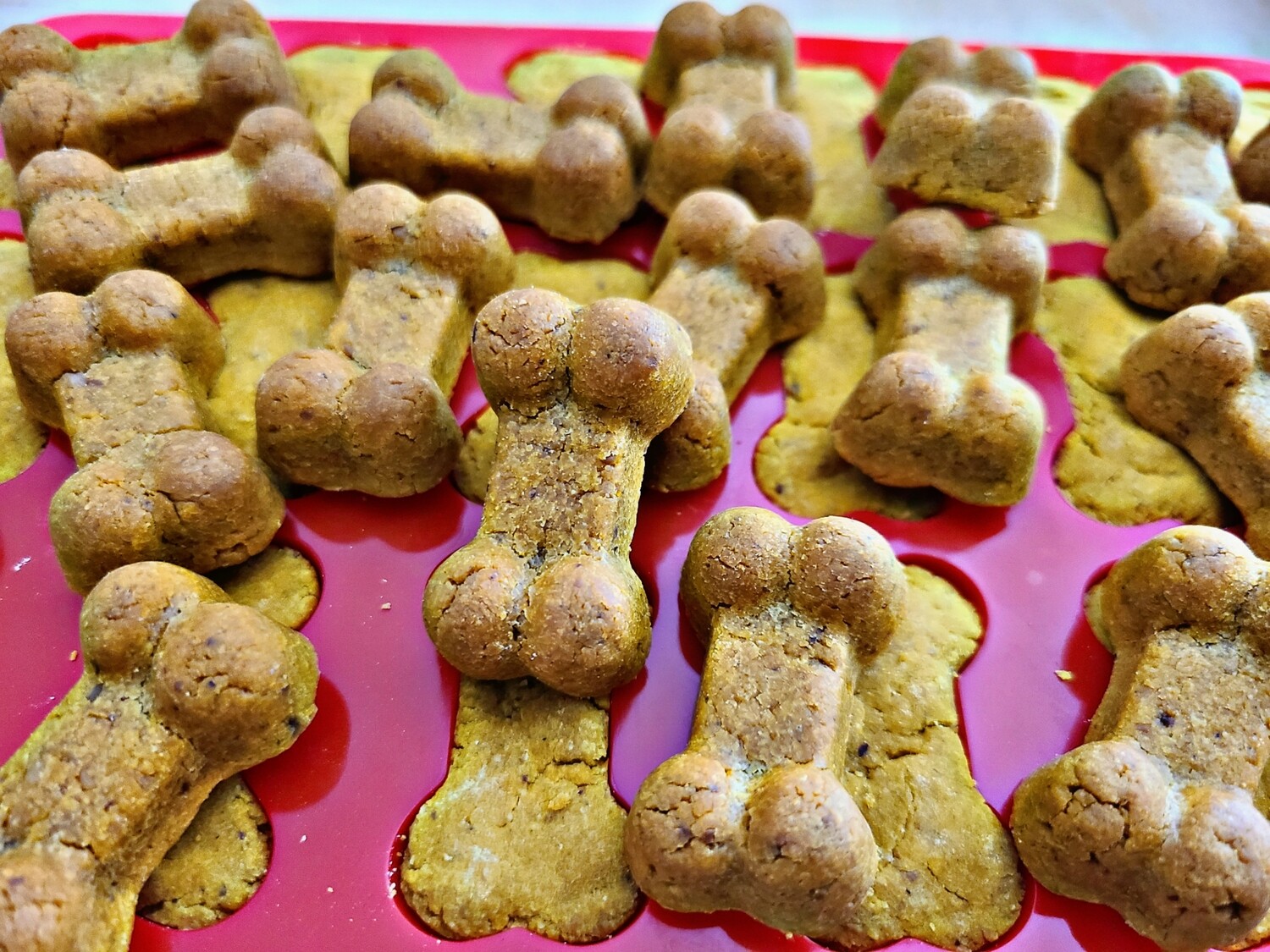 Little Bites (Pumpkin Peanut Butter) (Gluten-free)
