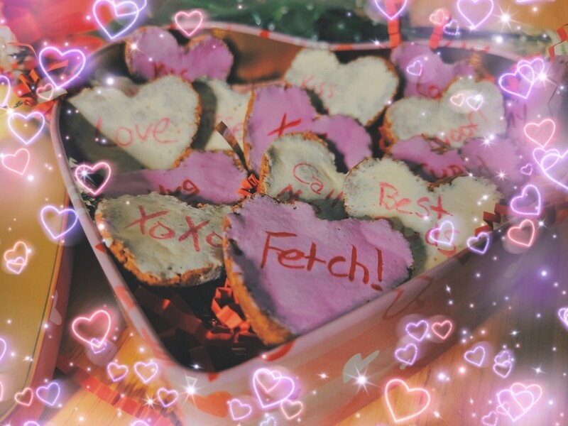 Valentine's day treats 💕