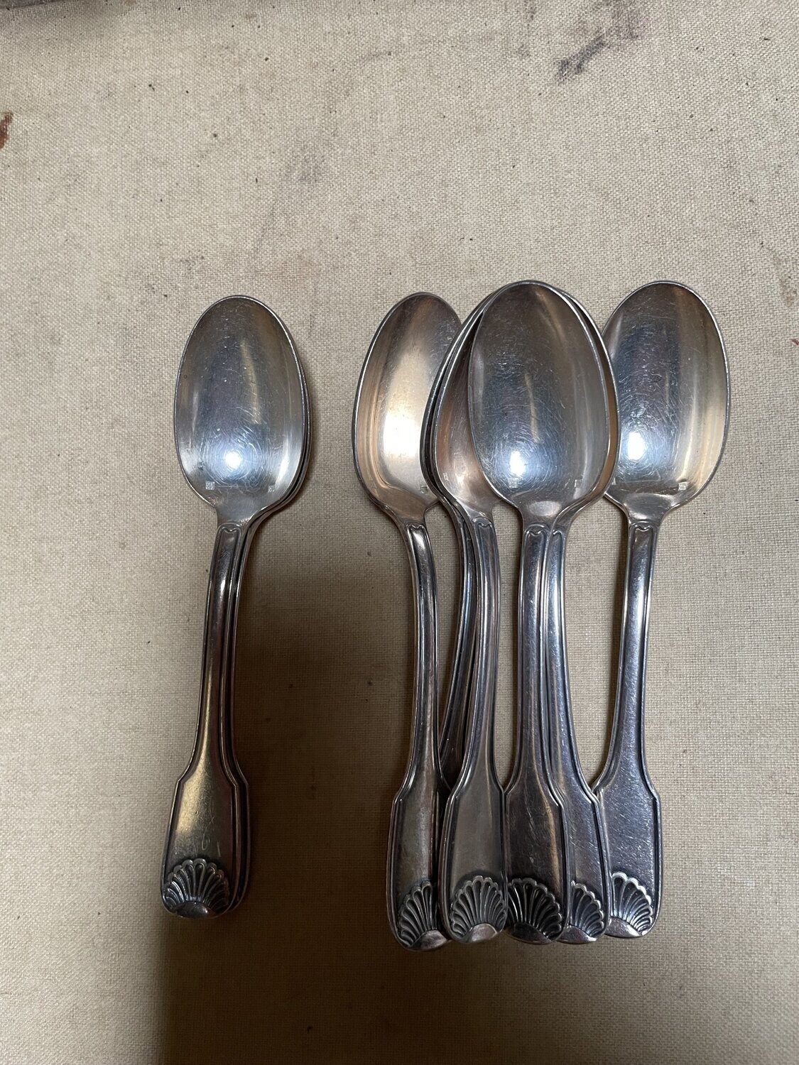 Lot de 9 petites cuillères à la coquille