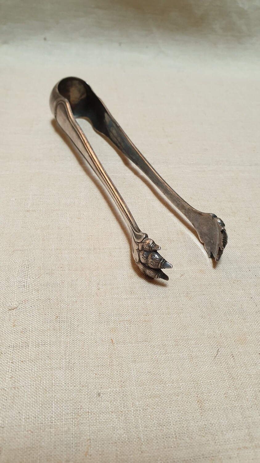 Pince à sucre avec prise en forme de pattes de lion  L-16cm