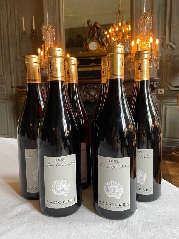 CARTON 6 BOUTEILLES VIN SANCERRE ROUGE AUCHERE