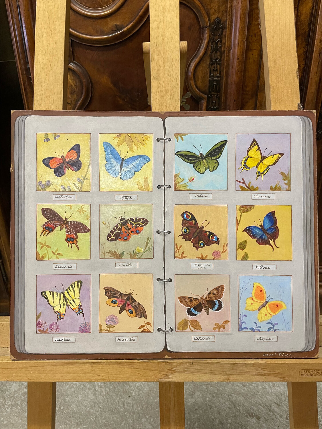 Atelier Henri PINON - "Trompe l'oeil, classeur de papillons" hs isorel - 33 x 41