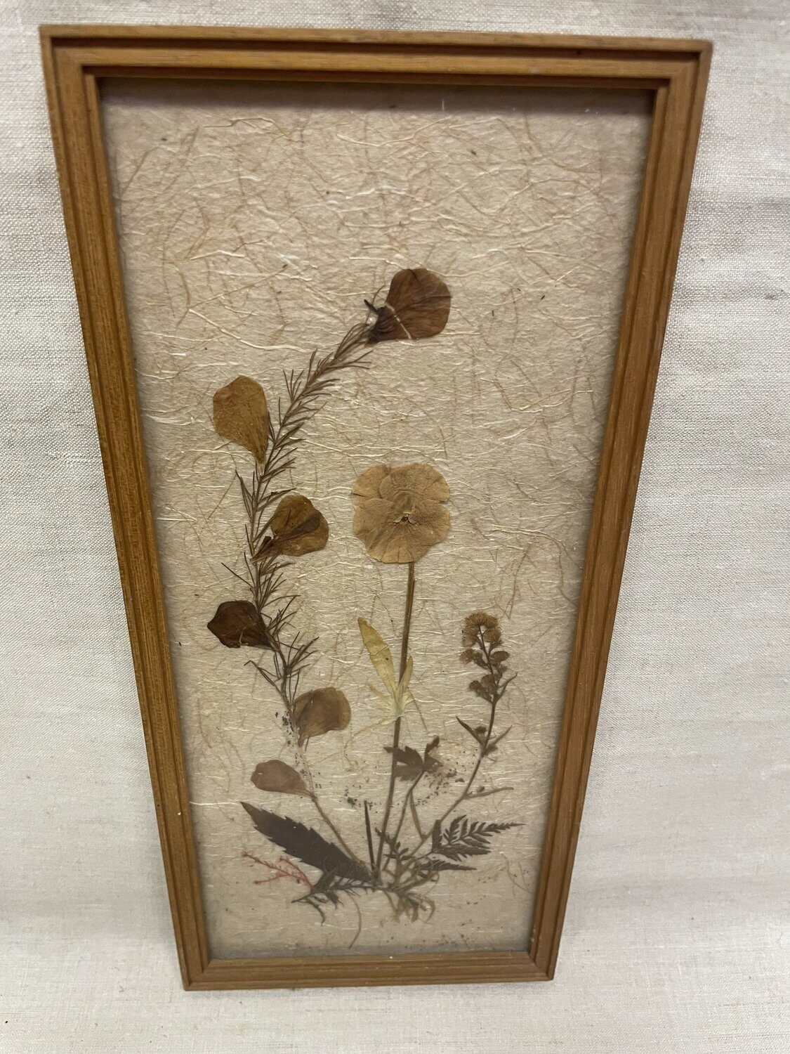 Fleurs séchées encadrées 13x29