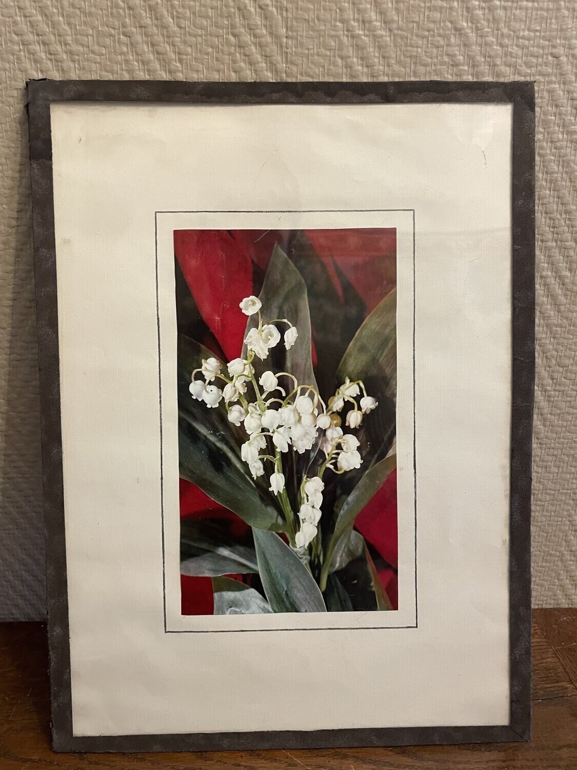 Photo d'un bouquet de muguet- 28 cm x 38 cm