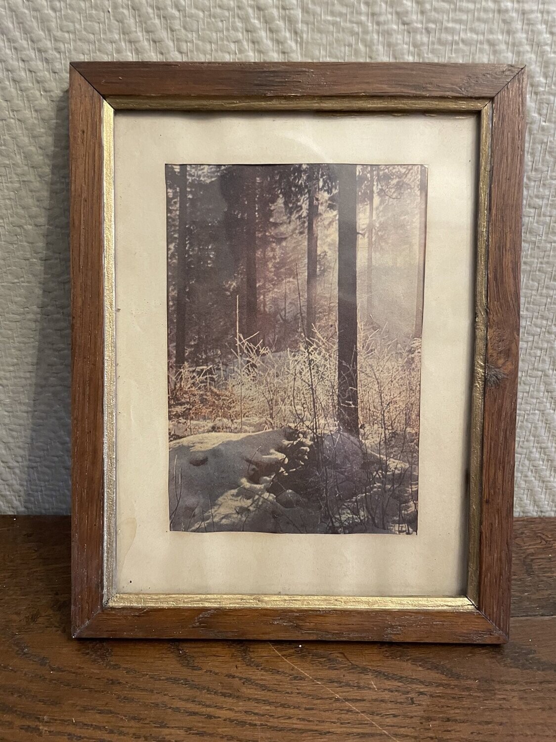 Photo d'une forêt enneigée - 21 x 27 cm