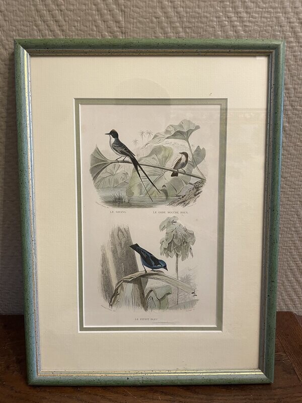 Oiseaux - 34,5 x 26 cm Oiseaux - 34,5 x 26 cm