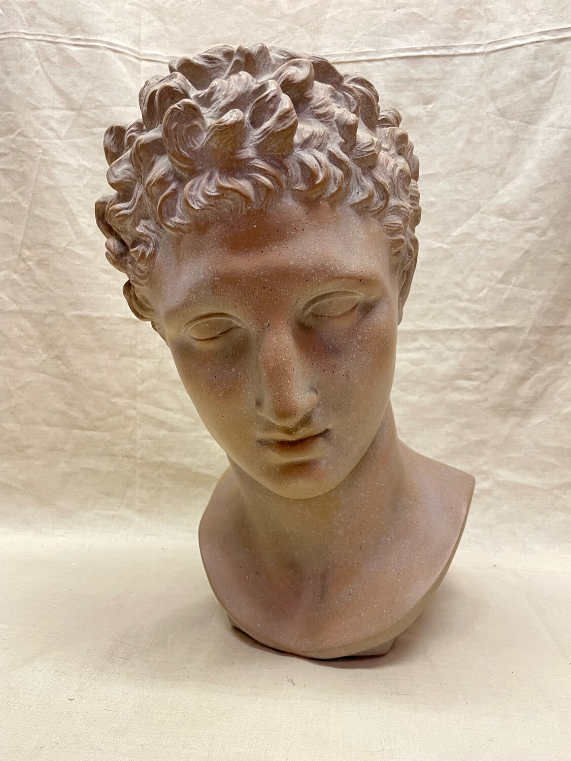 "Apollon" Tête en terre cuite - 40,3 cm