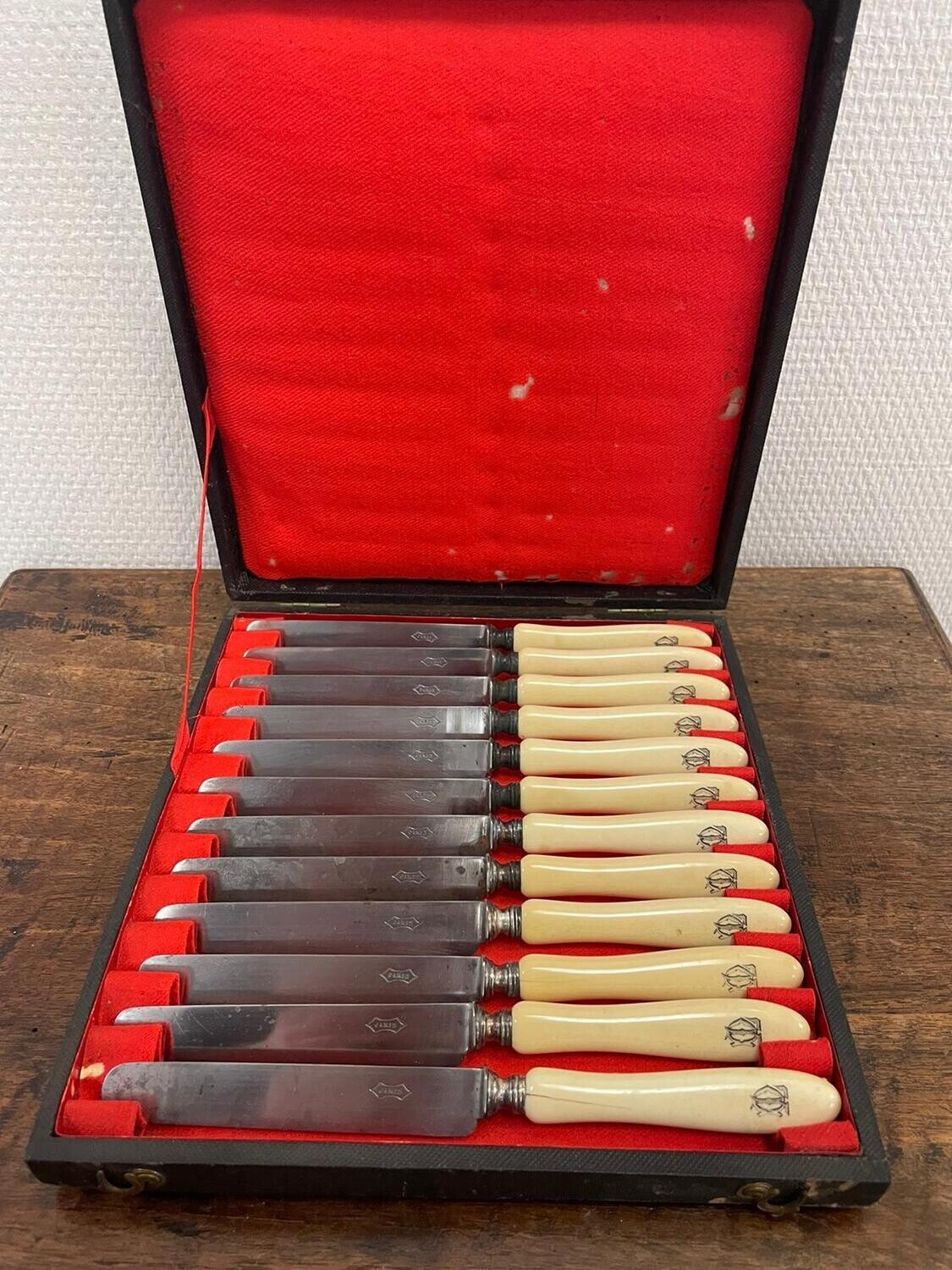 Ecrin offrant 12 couteaux en métal argenté