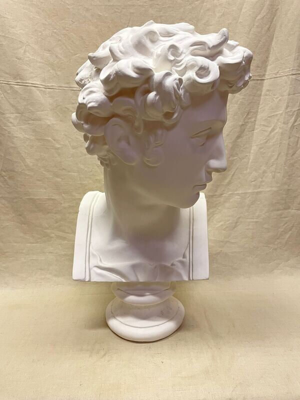 Buste de Julien de Médicis en plâtre d’après Michel-Ange (1475-1564) - XXème siècle  Hauteur : env. 60 cm Buste de Julien de Médicis en plâtre d’après Michel-Ange (1475-1564) - XXème siècle  Hauteur : env. 60 cm