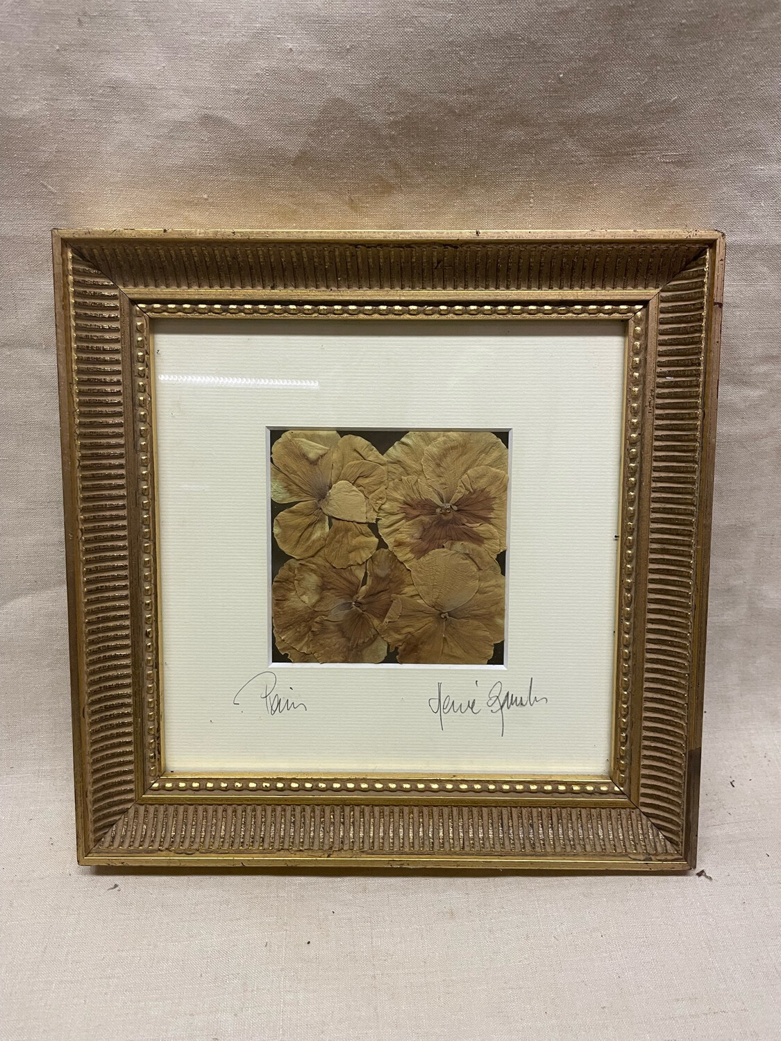 Fleurs séchées dans un cadre doré - 25x25