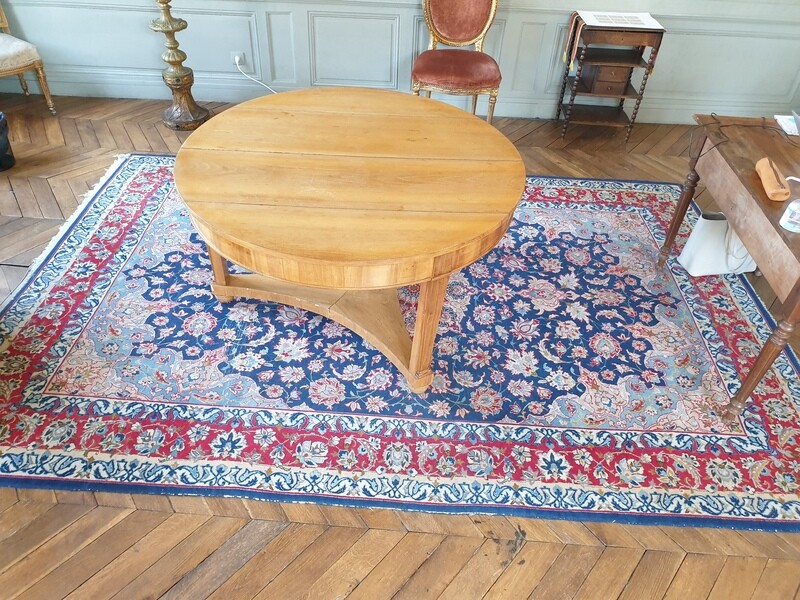 Magnifique tapis fond bleu et rouge - 227 x 335 cm