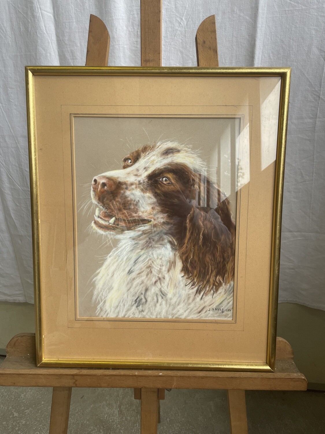 J. BASSI - Portrait de chien épagneul français, dessin au pastel - 1983 - 38,5 x 30 cm