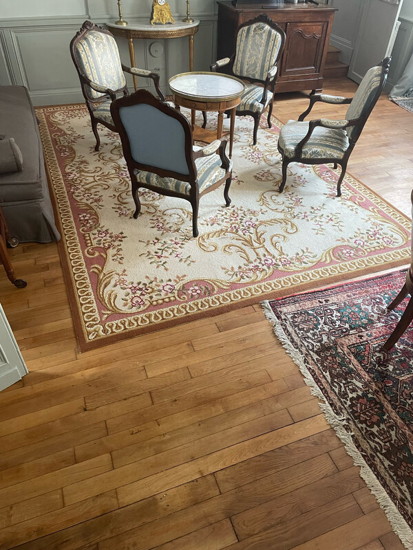 Grand tapis en laine sur fond crème - 255 x 357 cm