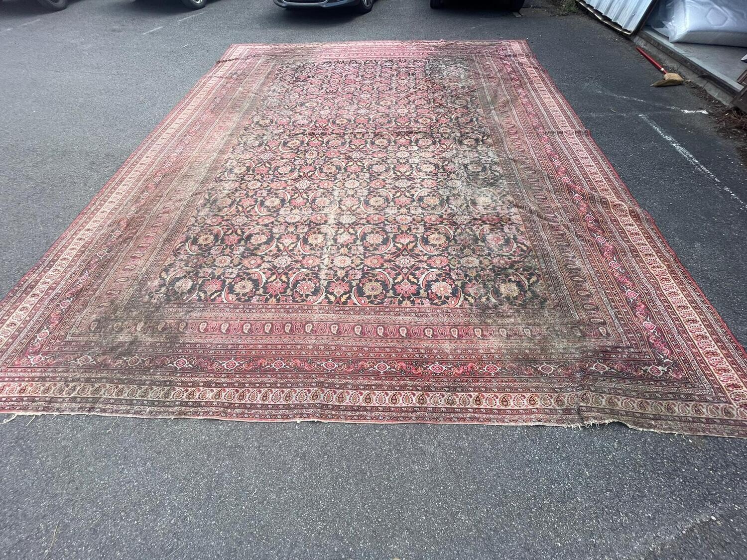 Grand tapis en laine - 555 x 450 cm