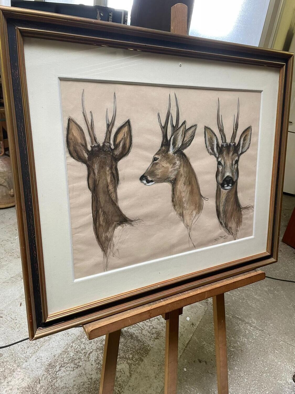 Aquarelle représentant trois têtes de chevreuil  - 84 x 70 cm