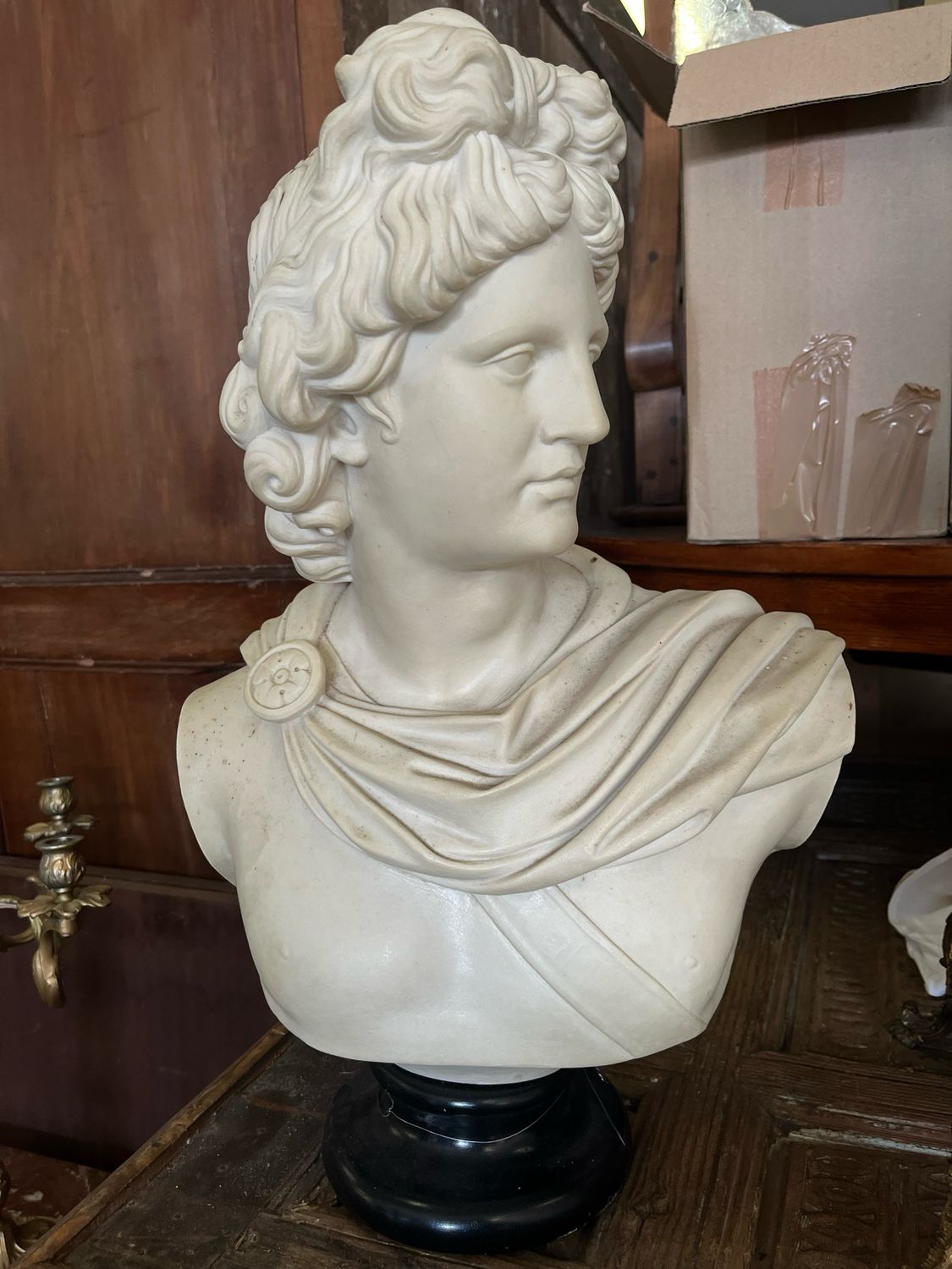 Buste d’apollon - 50 x 32 cm