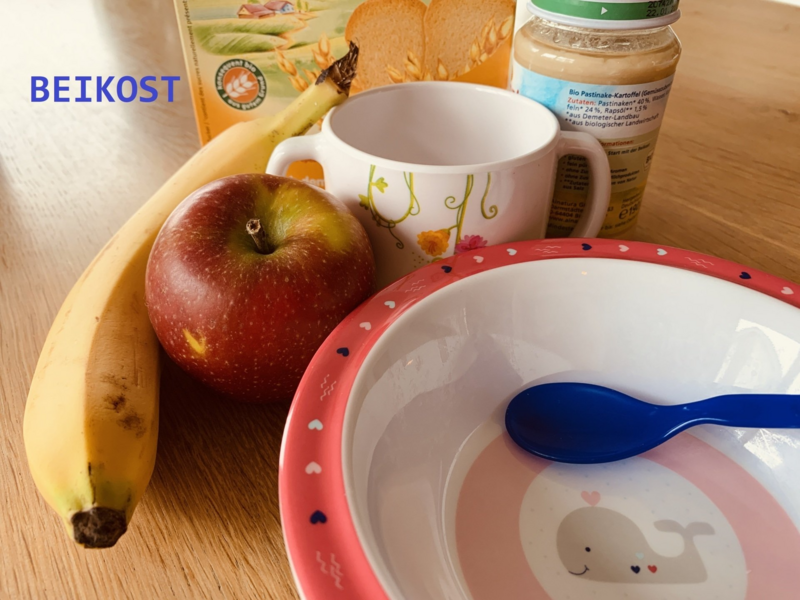 Beikost Kurs