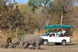 My African SAFARI and CHILD FRIENDLY  FAMILY TRIPS with SenegalStyle TOURS! Individual &amp; GROUP Day Trips IN and AROUND SENEGAL with LANSAR AUTO &amp; MATAL TRAVEL SERVICES!