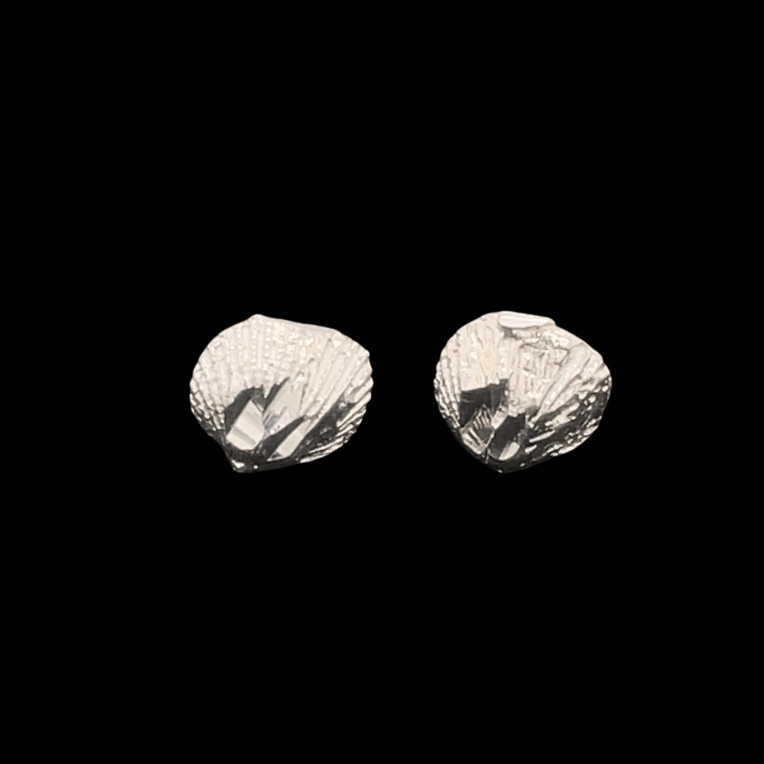 Sterling Silver Shell Earrings