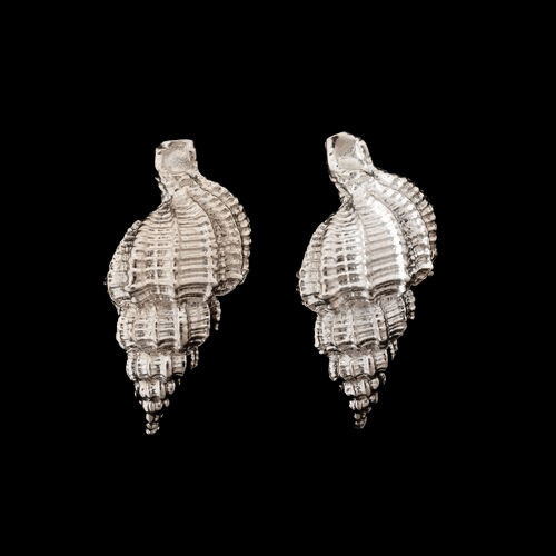 Sterling Silver Shell Earrings