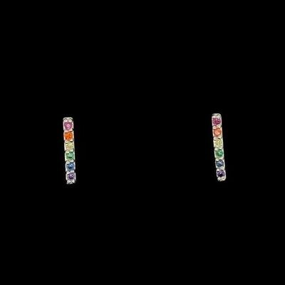 Multi-Color Earrings