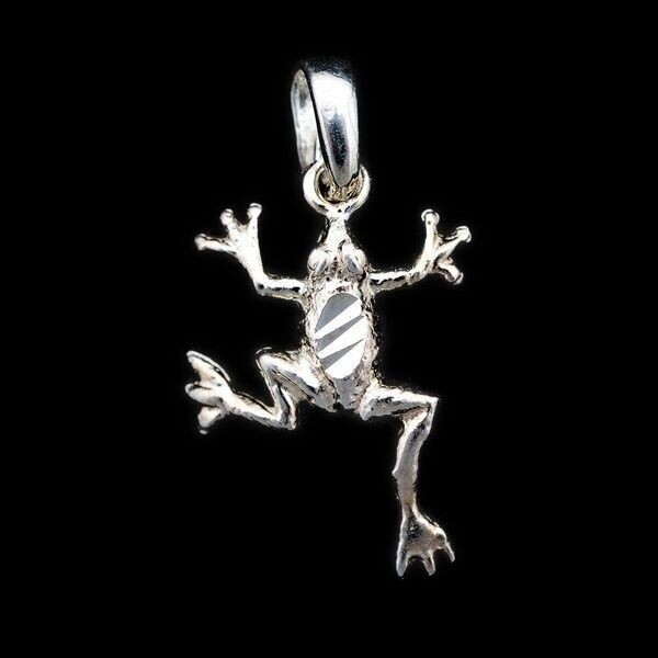 Sterling Silver Frog Pendant