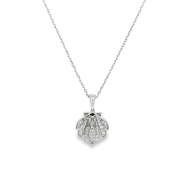 Shell Necklace