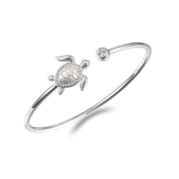 Turtle Bracelet