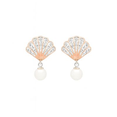 Shell Earrings