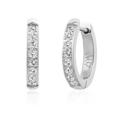 Stainless Steel Earrings
