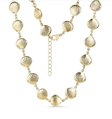 Shell Necklace Shell Necklace