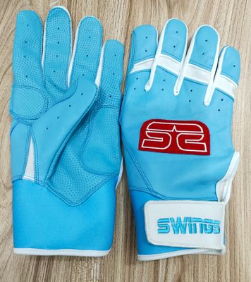 Supreme Swings Carolina and State Theme