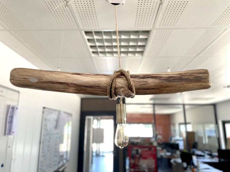 Driftwood Camargue