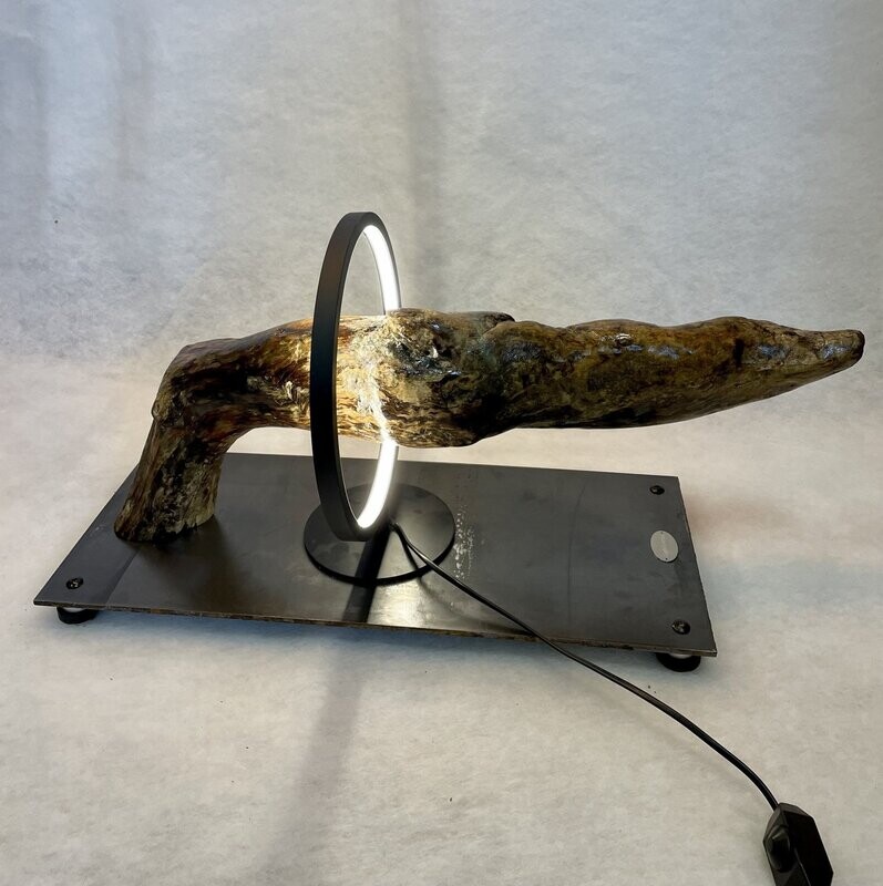 Gun