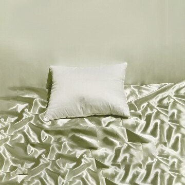 RP Travel Pillow 12x16 100% Down