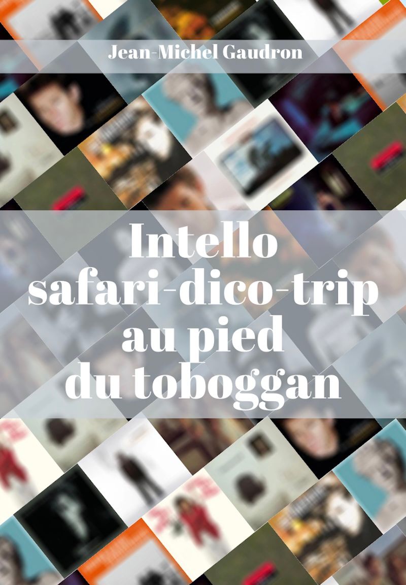 PROJET: Intello safari-dico-trip au pied du toboggan