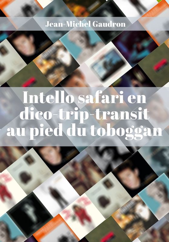 PROJET: Intello safari en dico-trip-transit au pied du toboggan