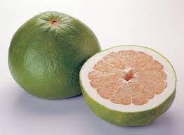 Pomelo grapefruit seeds, citrus Maxima, fruits seeds, Ceylon fruit seeds for planting, Ceylon seeds for garden 10 seeds pack