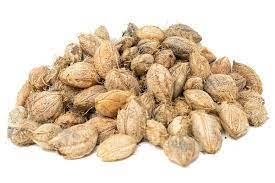 100g Sri Lanka almond nuts, Ceylon almond nuts for food, tropical almond, terminalia catappa nuts 100g pack