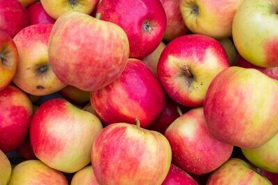 Appels Elstar middel (5 stuks)