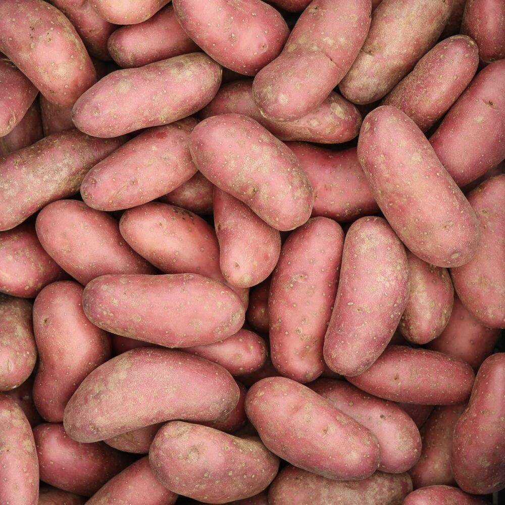 Roseval 1 kg