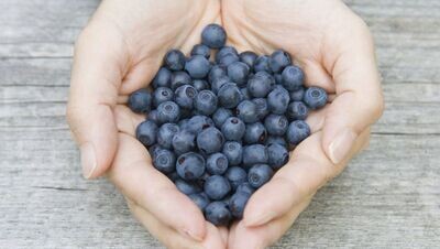 Blauwe bessen 125 gram