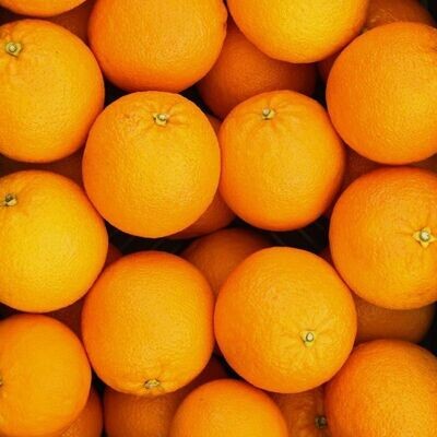 Sinaasappels pers (5 stuks)