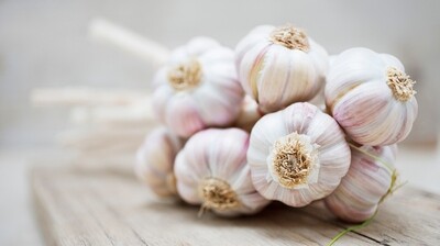 Knoflook 1 stuk