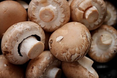 Champignons kastanje 250 gram