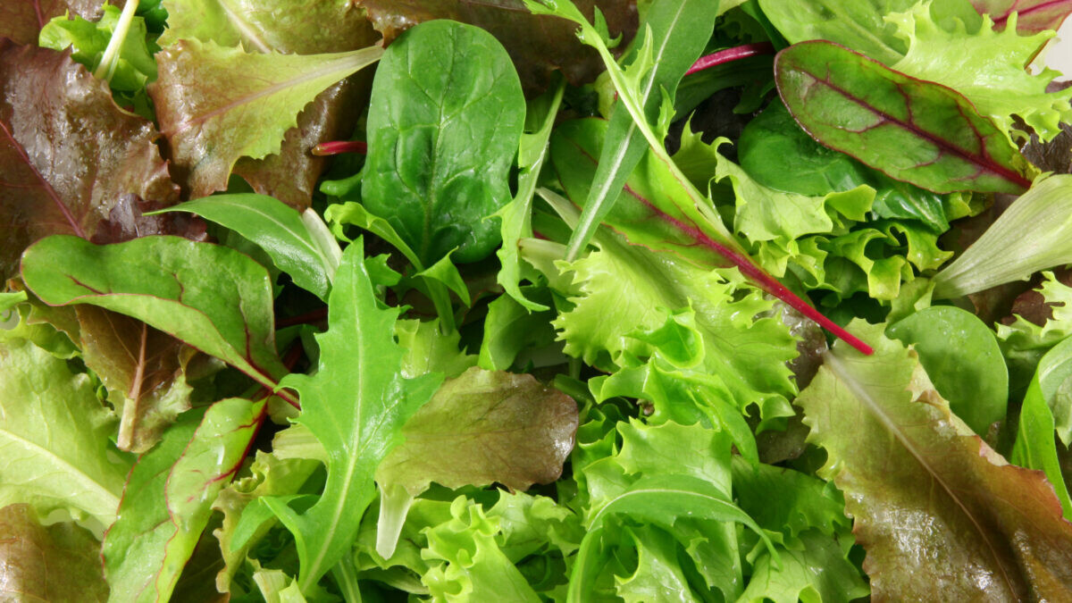 Mesclun 125 gram