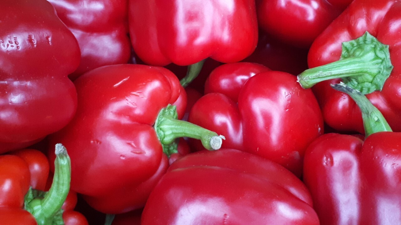 Rode paprika 1 stuk (groot)
