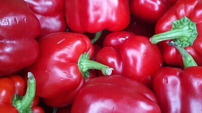 Rode paprika 1 stuk (groot)